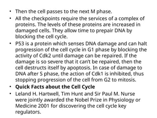 Comprehensive Overview of Cell Cycle Regulation and Control Mechanisms ...