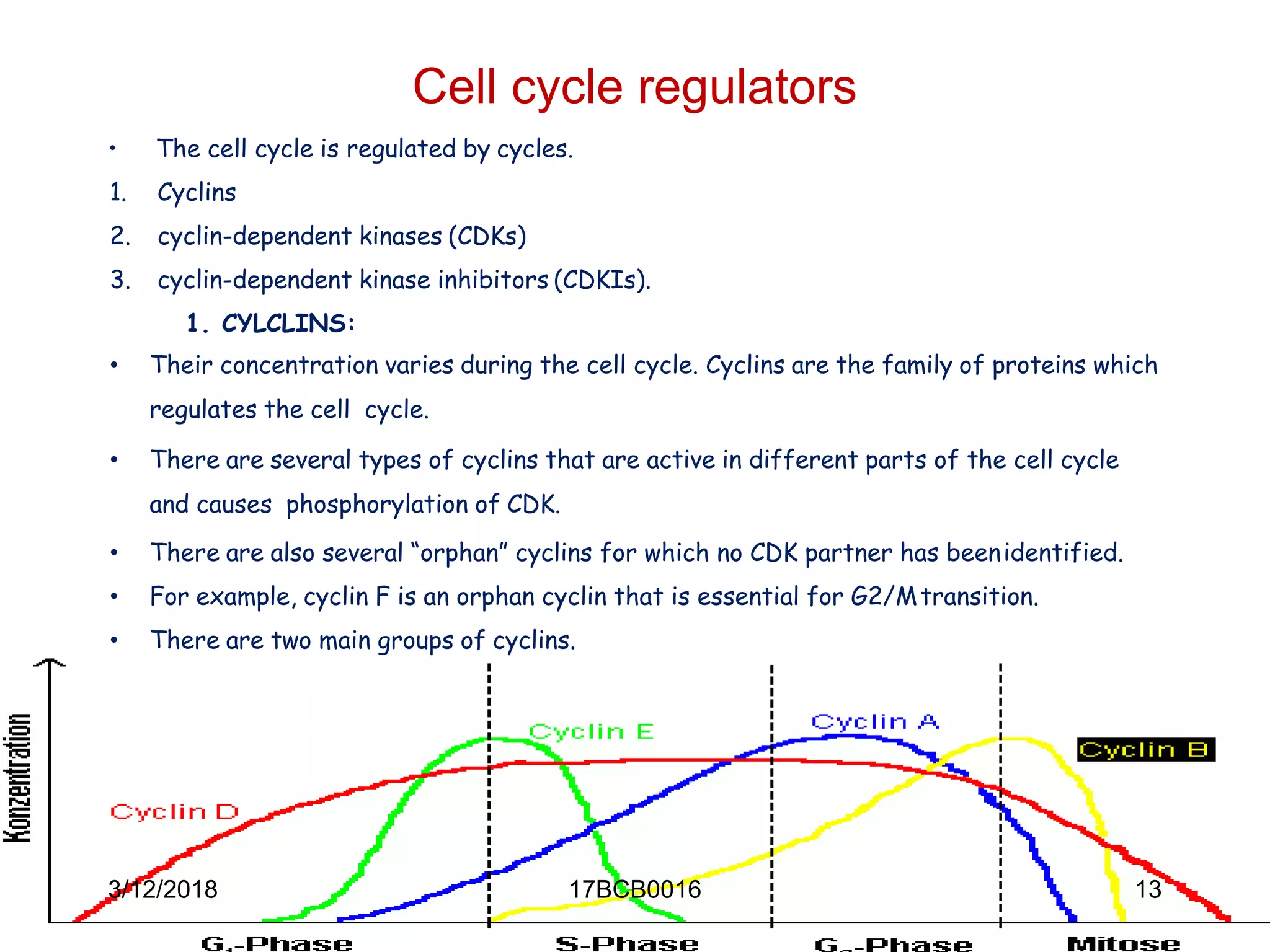 Cell cycle regulators
• The cell cycle is regulated by cycles.
1. Cyclins
2. cyclin-dependent kinases (CDKs)
3. cyclin-dependent kinase inhibitors (CDKIs).
1. CYLCLINS:
• Their concentration varies during the cell cycle. Cyclins are the family of proteins which
regulates the cell cycle.
• There are several types of cyclins that are active in different parts of the cell cycle
and causes phosphorylation of CDK.
• There are also several “orphan” cyclins for which no CDK partner has beenidentified.
• For example, cyclin F is an orphan cyclin that is essential for G2/Mtransition.
• There are two main groups of cyclins.
3/12/2018 17BCB0016 13
 