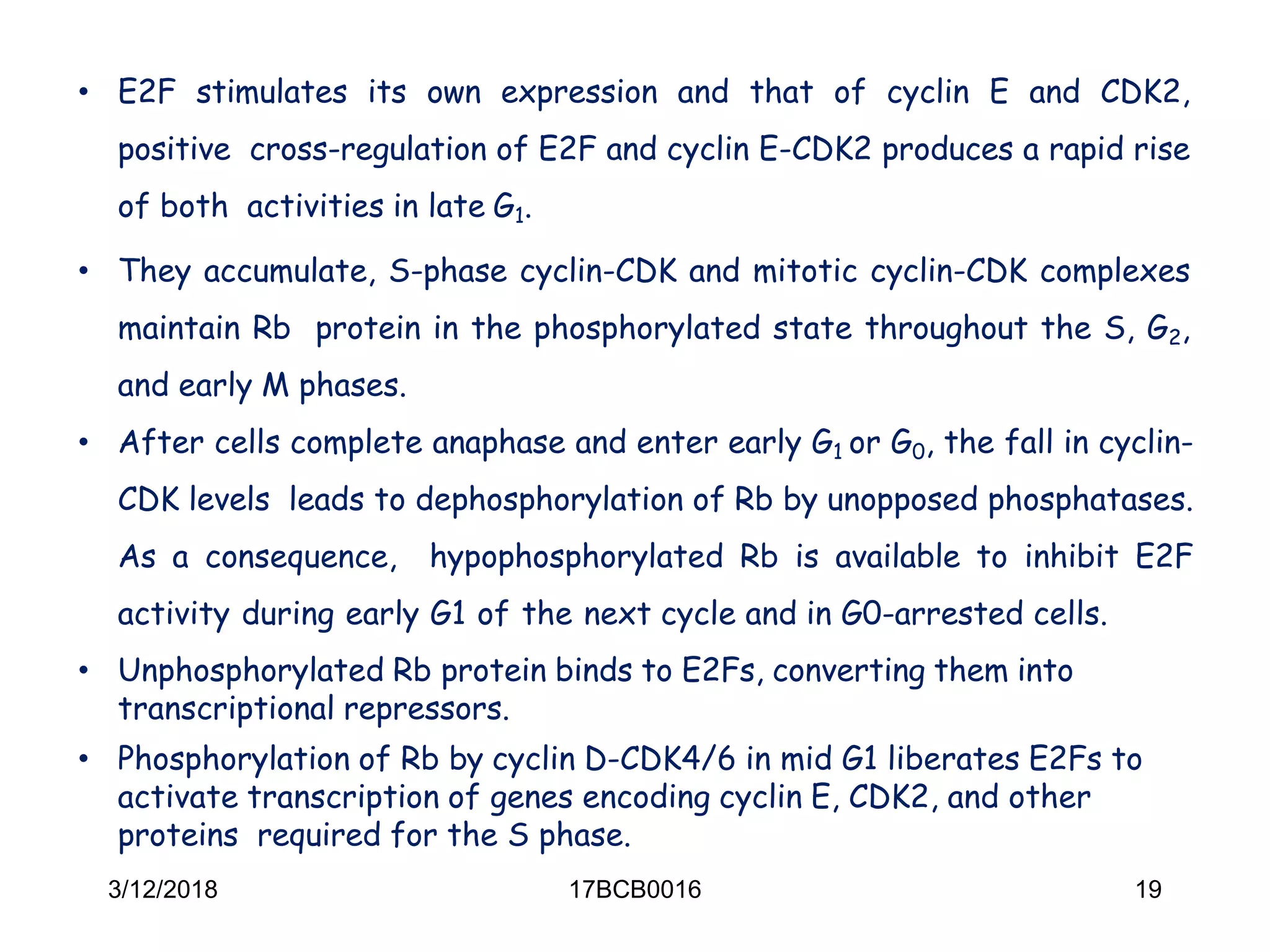 • E2F stimulates its own expression and that of cyclin E and CDK2,
positive cross-regulation of E2F and cyclin E-CDK2 produces a rapid rise
of both activities in late G1.
• They accumulate, S-phase cyclin-CDK and mitotic cyclin-CDK complexes
maintain Rb protein in the phosphorylated state throughout the S, G2,
and early M phases.
• After cells complete anaphase and enter early G1 or G0, the fall in cyclin-
CDK levels leads to dephosphorylation of Rb by unopposed phosphatases.
As a consequence, hypophosphorylated Rb is available to inhibit E2F
activity during early G1 of the next cycle and in G0-arrested cells.
• Unphosphorylated Rb protein binds to E2Fs, converting them into
transcriptional repressors.
• Phosphorylation of Rb by cyclin D-CDK4/6 in mid G1 liberates E2Fs to
activate transcription of genes encoding cyclin E, CDK2, and other
proteins required for the S phase.
3/12/2018 17BCB0016 19
 