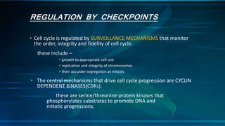 REGULATION BY CHECKPOINTS
• Cell cycle is regulated by SURVEILLANCE MECHANISMS that monitor
the order, integrity and fidelity of cell cycle.
these include –
growth to appropriate cell size
replication and integrity of chromosomes
their accurate segregation at mitosis
• The central mechanisms that drive cell cycle progression are CYCLIN
DEPENDENT KINASES(CDKs).
these are serine/threonine protein kinases that
phosphorylates substrates to promote DNA and
mitotic progressions.
 