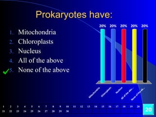 Prokaryotes have: Mitochondria Chloroplasts Nucleus All of the above None of the above 20 1 2 3 4 5 6 7 8 9 10 11 12 13 14 15 16 17 18 19 20 21 22 23 24 25 26 27 28 29 30 