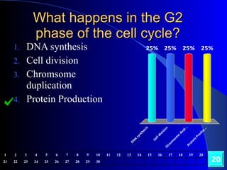 What happens in the G2 phase of the cell cycle? DNA synthesis Cell division Chromsome duplication Protein Production 20 1 2 3 4 5 6 7 8 9 10 11 12 13 14 15 16 17 18 19 20 21 22 23 24 25 26 27 28 29 30 