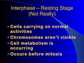 Interphase – Resting Stage (Not Really) Cells carrying on normal activities Chromosomes aren’t visible Cell metabolism is occurring Occurs before mitosis 