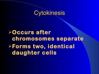 Cytokinesis Occurs after chromosomes separate Forms two, identical daughter cells 