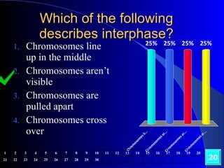 Which of the following describes interphase? Chromosomes line up in the middle Chromosomes aren’t visible Chromosomes are pulled apart Chromosomes cross over 20 1 2 3 4 5 6 7 8 9 10 11 12 13 14 15 16 17 18 19 20 21 22 23 24 25 26 27 28 29 30 