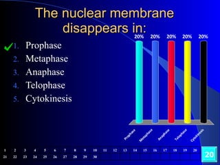 The nuclear membrane disappears in: Prophase Metaphase Anaphase Telophase Cytokinesis 20 1 2 3 4 5 6 7 8 9 10 11 12 13 14 15 16 17 18 19 20 21 22 23 24 25 26 27 28 29 30 