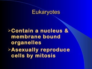 Eukaryotes Contain a nucleus & membrane bound organelles Asexually reproduce cells by mitosis 