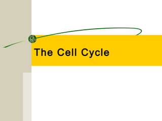 The Cell Cycle
 