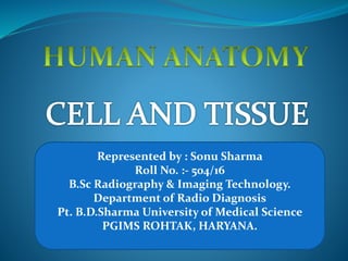 Represented by : Sonu Sharma
Roll No. :- 504/16
B.Sc Radiography & Imaging Technology.
Department of Radio Diagnosis
Pt. B.D.Sharma University of Medical Science
PGIMS ROHTAK, HARYANA.
 