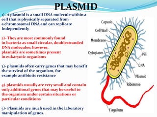 PLASMID
1)- A plasmid is a small DNA molecule within a
cell that is physically separated from
a chromosomal DNA and can replicate
Independently
2)- They are most commonly found
in bacteria as small circular, doublestranded
DNA molecules; however,
plasmids are sometimes present
in eukaryotic organisms
3)- plasmids often carry genes that may benefit
the survival of the organism, for
example antibiotic resistance
4)-plasmids usually are very small and contain
only additional genes that may be useful to
the organism under certain situations or
particular conditions
5)- Plasmids are much used in the laboratory
manipulation of genes.
 