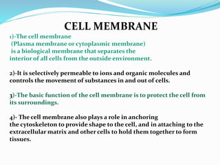 CELL MEMBRANE
1)-The cell membrane
(Plasma membrane or cytoplasmic membrane)
is a biological membrane that separates the
interior of all cells from the outside environment.
2)-It is selectively permeable to ions and organic molecules and
controls the movement of substances in and out of cells.
3)-The basic function of the cell membrane is to protect the cell from
its surroundings.
4)- The cell membrane also plays a role in anchoring
the cytoskeleton to provide shape to the cell, and in attaching to the
extracellular matrix and other cells to hold them together to form
tissues.
 