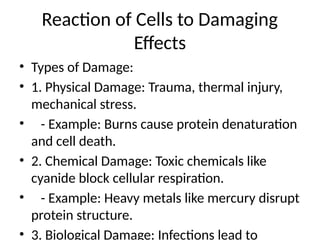 Cell_Damage_Aging_Detailed_Presentation.pptx