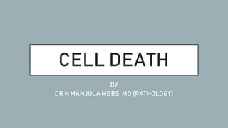 CELL DEATH
BY
DR N MANJULA MBBS, MD (PATHOLOGY)
 