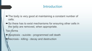 Cell death | PPTX