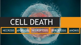 CELL DEATH
APOPTOSISNECROSIS NECROPTOSIS PYROPTOSIS ANOIKIS
 