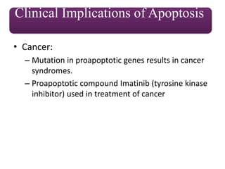 • Cancer:
– Mutation in proapoptotic genes results in cancer
syndromes.
– Proapoptotic compound Imatinib (tyrosine kinase
inhibitor) used in treatment of cancer
Clinical Implications of Apoptosis
 