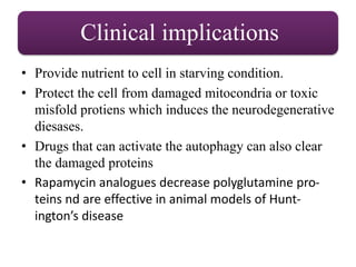 Clinical implications
• Provide nutrient to cell in starving condition.
• Protect the cell from damaged mitocondria or toxic
misfold protiens which induces the neurodegenerative
diesases.
• Drugs that can activate the autophagy can also clear
the damaged proteins
• Rapamycin analogues decrease polyglutamine pro-
teins nd are effective in animal models of Hunt-
ington’s disease
 