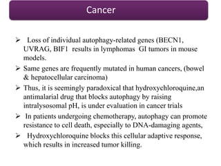 Cancer
 Loss of individual autophagy-related genes (BECN1,
UVRAG, BIF1 results in lymphomas GI tumors in mouse
models.
 Same genes are frequently mutated in human cancers, (bowel
& hepatocellular carcinoma)
 Thus, it is seemingly paradoxical that hydroxychloroquine,an
antimalarial drug that blocks autophagy by raising
intralysosomal pH, is under evaluation in cancer trials
 In patients undergoing chemotherapy, autophagy can promote
resistance to cell death, especially to DNA-damaging agents,
 Hydroxychloroquine blocks this cellular adaptive response,
which results in increased tumor killing.
 