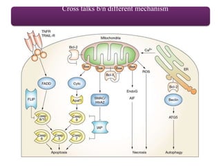 Cross talks b/n different mechanism
 