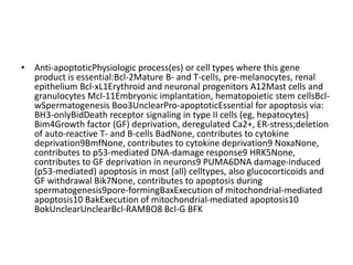 • Anti-apoptoticPhysiologic process(es) or cell types where this gene
product is essential:Bcl-2Mature B- and T-cells, pre-melanocytes, renal
epithelium Bcl-xL1Erythroid and neuronal progenitors A12Mast cells and
granulocytes Mcl-11Embryonic implantation, hematopoietic stem cellsBcl-
wSpermatogenesis Boo3UnclearPro-apoptoticEssential for apoptosis via:
BH3-onlyBidDeath receptor signaling in type II cells (eg, hepatocytes)
Bim4Growth factor (GF) deprivation, deregulated Ca2+, ER-stress;deletion
of auto-reactive T- and B-cells BadNone, contributes to cytokine
deprivation9BmfNone, contributes to cytokine deprivation9 NoxaNone,
contributes to p53-mediated DNA-damage response9 HRK5None,
contributes to GF deprivation in neurons9 PUMA6DNA damage-induced
(p53-mediated) apoptosis in most (all) celltypes, also glucocorticoids and
GF withdrawal Bik7None, contributes to apoptosis during
spermatogenesis9pore-formingBaxExecution of mitochondrial-mediated
apoptosis10 BakExecution of mitochondrial-mediated apoptosis10
BokUnclearUnclearBcl-RAMBO8 Bcl-G BFK
 