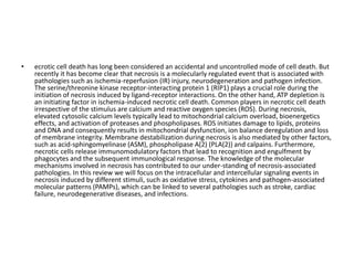 • ecrotic cell death has long been considered an accidental and uncontrolled mode of cell death. But
recently it has become clear that necrosis is a molecularly regulated event that is associated with
pathologies such as ischemia-reperfusion (IR) injury, neurodegeneration and pathogen infection.
The serine/threonine kinase receptor-interacting protein 1 (RIP1) plays a crucial role during the
initiation of necrosis induced by ligand-receptor interactions. On the other hand, ATP depletion is
an initiating factor in ischemia-induced necrotic cell death. Common players in necrotic cell death
irrespective of the stimulus are calcium and reactive oxygen species (ROS). During necrosis,
elevated cytosolic calcium levels typically lead to mitochondrial calcium overload, bioenergetics
effects, and activation of proteases and phospholipases. ROS initiates damage to lipids, proteins
and DNA and consequently results in mitochondrial dysfunction, ion balance deregulation and loss
of membrane integrity. Membrane destabilization during necrosis is also mediated by other factors,
such as acid-sphingomyelinase (ASM), phospholipase A(2) (PLA(2)) and calpains. Furthermore,
necrotic cells release immunomodulatory factors that lead to recognition and engulfment by
phagocytes and the subsequent immunological response. The knowledge of the molecular
mechanisms involved in necrosis has contributed to our under-standing of necrosis-associated
pathologies. In this review we will focus on the intracellular and intercellular signaling events in
necrosis induced by different stimuli, such as oxidative stress, cytokines and pathogen-associated
molecular patterns (PAMPs), which can be linked to several pathologies such as stroke, cardiac
failure, neurodegenerative diseases, and infections.
 