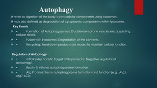 cell death in cellular functions of. Human body cell | PPTX