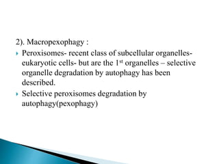 Peroxiphagy autophagy- survival and cell death. | PPTX