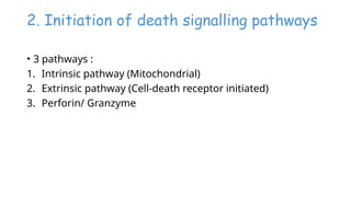 Cell death - Necrosis, apoptosis, autolysis, cellular aging | PPTX