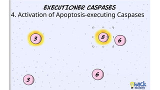 Cell death - Necrosis, apoptosis, autolysis, cellular aging | PPTX