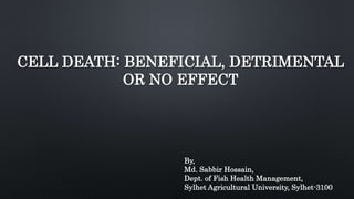CELL DEATH: BENEFICIAL, DETRIMENTAL
OR NO EFFECT
By,
Md. Sabbir Hossain,
Dept. of Fish Health Management,
Sylhet Agricultural University, Sylhet-3100
 