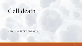 Cell death
ABDUL RASHEED EBRAHIM
1
 