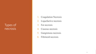 Types of
necrosis
1. Coagulation Necrosis
2. Liquefactive necrosis
3. Fat necrosis
4. Caseous necrosis
5. Gangrenous necro...
