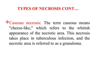 Cell death that involve its types, causes, mechanisms | PPTX