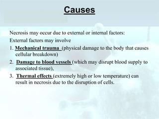 Causes
Necrosis may occur due to external or internal factors:
External factors may involve
1. Mechanical trauma (physical damage to the body that causes
cellular breakdown)
2. Damage to blood vessels (which may disrupt blood supply to
associated tissue),
3. Thermal effects (extremely high or low temperature) can
result in necrosis due to the disruption of cells.
 