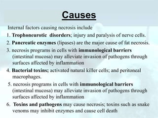 Causes
Internal factors causing necrosis include
1. Trophoneurotic disorders; injury and paralysis of nerve cells.
2. Pancreatic enzymes (lipases) are the major cause of fat necrosis.
3. necrosis programs in cells with immunological barriers
(intestinal mucosa) may alleviate invasion of pathogens through
surfaces affected by inflammation
4. Bacterial toxins; activated natural killer cells; and peritoneal
macrophages.
5. necrosis programs in cells with immunological barriers
(intestinal mucosa) may alleviate invasion of pathogens through
surfaces affected by inflammation
6. Toxins and pathogens may cause necrosis; toxins such as snake
venoms may inhibit enzymes and cause cell death
 