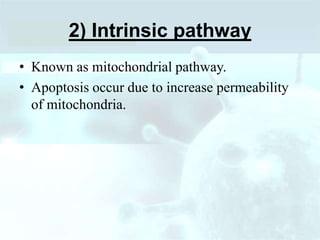 2) Intrinsic pathway
• Known as mitochondrial pathway.
• Apoptosis occur due to increase permeability
of mitochondria.
 