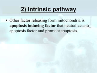 2) Intrinsic pathway
• Other factor releasing form mitochondria is
apoptosis inducing factor that neutralize anti_
apoptosis factor and promote apoptosis.
 