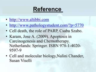 Reference
• http://www.altibbi.com
• http://www.pathologystudent.com/?p=5770
• Cell death, the role of PARP, Csaba Szabo.
• Karam, Jose A. (2009). Apoptosis in
Carcinogenesis and Chemotherapy.
Netherlands: Springer. ISBN 978-1-4020-
9597-9
• Cell and molecular biology,Nalini Chander,
Susan Viselli
 