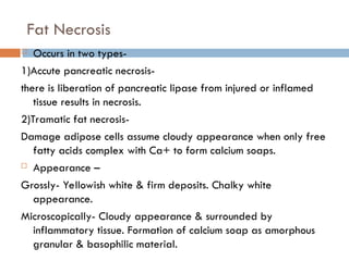 Fat Necrosis
 Occurs in two types-
1)Accute pancreatic necrosis-
there is liberation of pancreatic lipase from injured or inflamed
tissue results in necrosis.
2)Tramatic fat necrosis-
Damage adipose cells assume cloudy appearance when only free
fatty acids complex with Ca+ to form calcium soaps.
 Appearance –
Grossly- Yellowish white & firm deposits. Chalky white
appearance.
Microscopically- Cloudy appearance & surrounded by
inflammatory tissue. Formation of calcium soap as amorphous
granular & basophilic material.
 