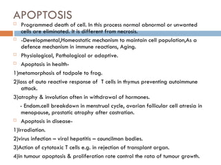 APOPTOSIS
 Programmed death of cell. In this process normal abnormal or unwanted
cells are eliminated. It is different from necrosis.
 -Developmental,Homeostatic mechanism to maintain cell population,As a
defence mechanism in immune reactions, Aging.
 Physiological, Pathological or adaptive.
 Apoptosis in health-
1)metamorphosis of tadpole to frog.
2)loss of auto reactive response of T cells in thymus preventing autoimmune
attack.
3)atrophy & involution often in withdrawal of hormones.
- Endom.cell breakdown in menstrual cycle, ovarian follicular cell atresia in
menopause, prostatic atrophy after castration.
 Apoptosis in disease-
1)Irradiation.
2)virus infection – viral hepatitis – councilman bodies.
3)Action of cytotoxic T cells e.g. in rejection of transplant organ.
4)in tumour apoptosis & proliferation rate control the rata of tumour growth.
 