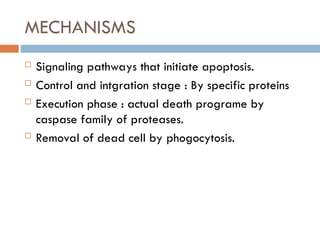 MECHANISMS
 Signaling pathways that initiate apoptosis.
 Control and intgration stage : By specific proteins
 Execution phase : actual death programe by
caspase family of proteases.
 Removal of dead cell by phogocytosis.
 
