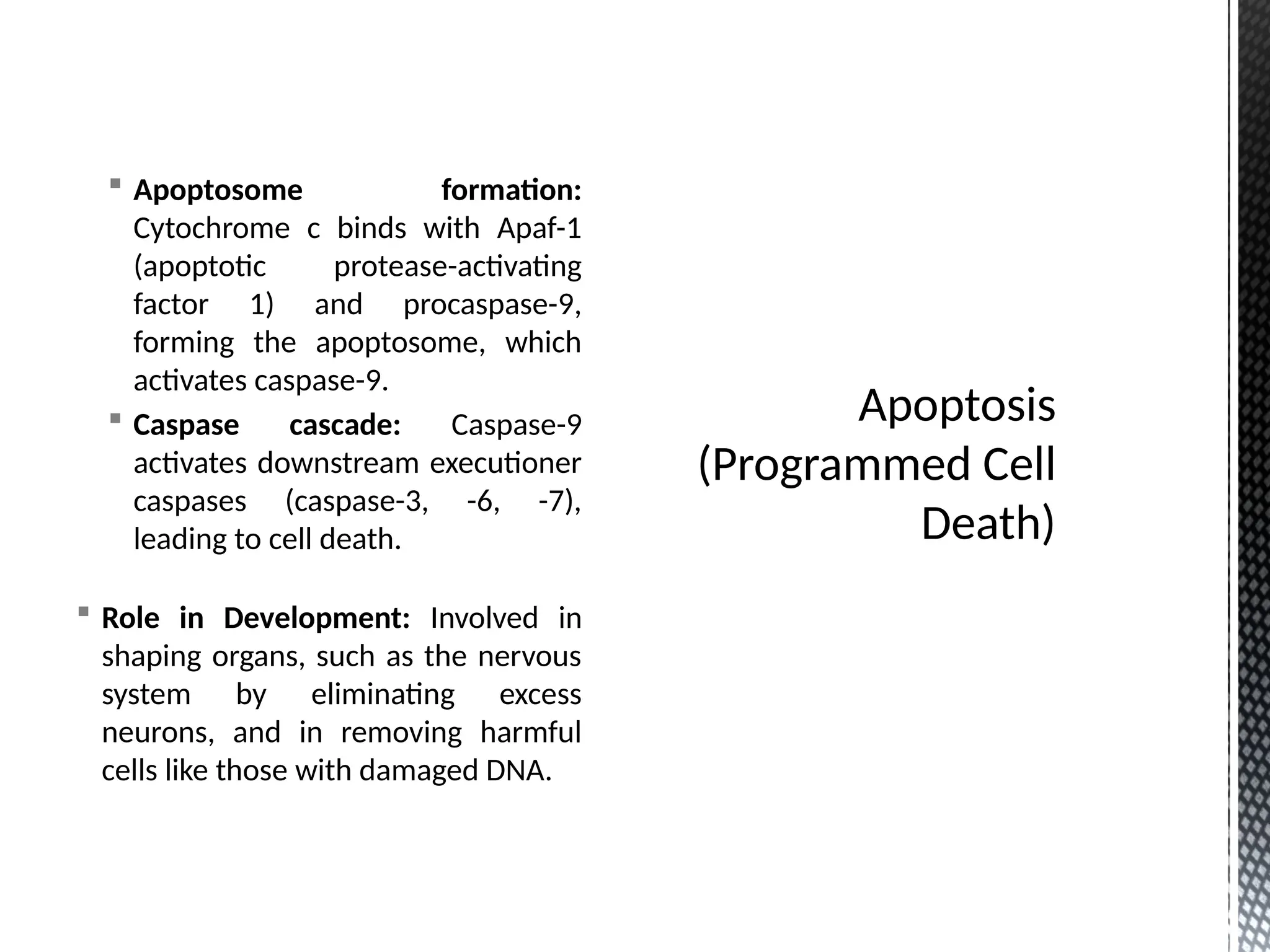 Cell death pathways- Dr.M.Jothimuniyandi | PPTX | Biological Sciences | Science