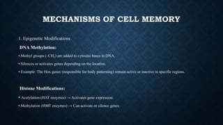 Cell determination and cell Memory- Cytology | PPTX