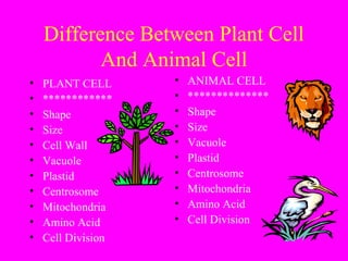 Cell differences plant & animal | PPT