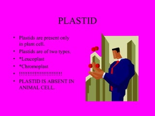 PLASTID
• Plastids are present only
in plant cell.
• Plastids are of two types.
• *Leucoplast
• *Chromoplast
• !!!!!!!!!!!!!!!!!!!!!!!!!
• PLASTID IS ABSENT IN
ANIMAL CELL.
 