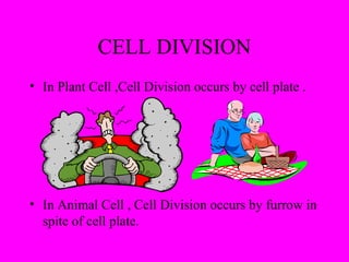 CELL DIVISION
• In Plant Cell ,Cell Division occurs by cell plate .
• In Animal Cell , Cell Division occurs by furrow in
spite of cell plate.
 