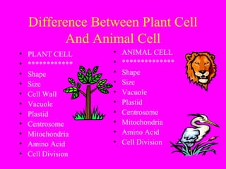 Difference Between Plant Cell
And Animal Cell
• PLANT CELL
• ************
• Shape
• Size
• Cell Wall
• Vacuole
• Plastid
• Centrosome
• Mitochondria
• Amino Acid
• Cell Division
• ANIMAL CELL
• **************
• Shape
• Size
• Vacuole
• Plastid
• Centrosome
• Mitochondria
• Amino Acid
• Cell Division
 