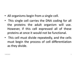 • All organisms begin from a single cell.
• This single cell carries the DNA coding for all
the proteins the adult organism will use.
However, if this cell expressed all of these
proteins at once it would not be functional.
• This cell must divide repeatedly, and the cells
must begin the process of cell differentiation
as they divide.
12/8/2022 3
 