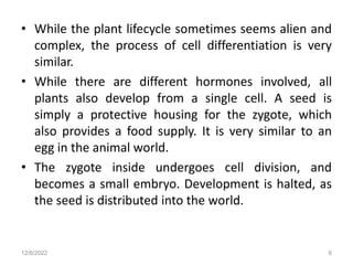 • While the plant lifecycle sometimes seems alien and
complex, the process of cell differentiation is very
similar.
• While there are different hormones involved, all
plants also develop from a single cell. A seed is
simply a protective housing for the zygote, which
also provides a food supply. It is very similar to an
egg in the animal world.
• The zygote inside undergoes cell division, and
becomes a small embryo. Development is halted, as
the seed is distributed into the world.
12/8/2022 6
 