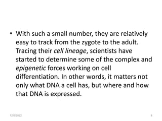 • With such a small number, they are relatively
easy to track from the zygote to the adult.
Tracing their cell lineage, scientists have
started to determine some of the complex and
epigenetic forces working on cell
differentiation. In other words, it matters not
only what DNA a cell has, but where and how
that DNA is expressed.
12/8/2022 8
 